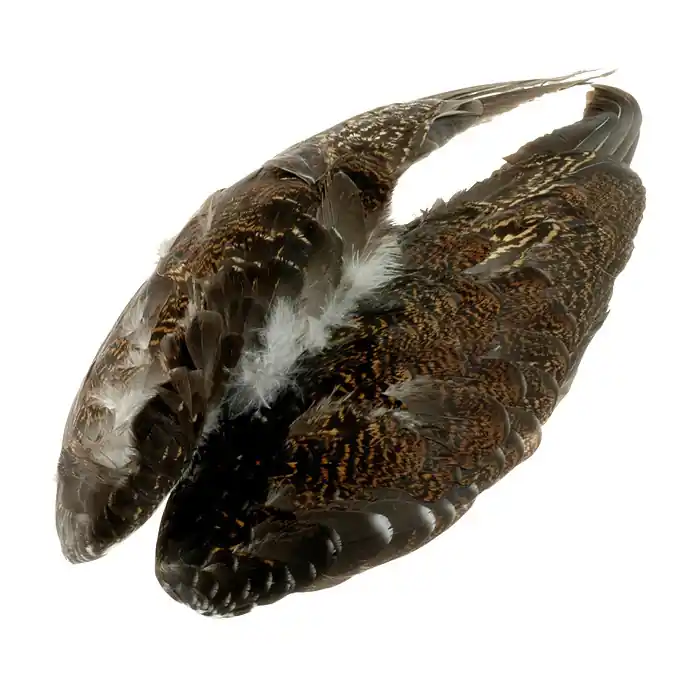 Pas Cher FFGene Grouse wings