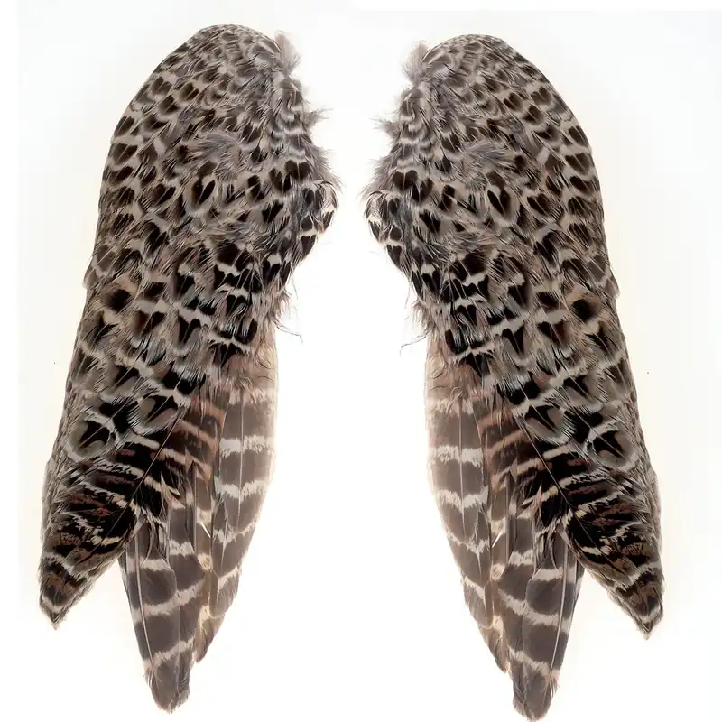FFGene Pheasant Wings Hen Soldes