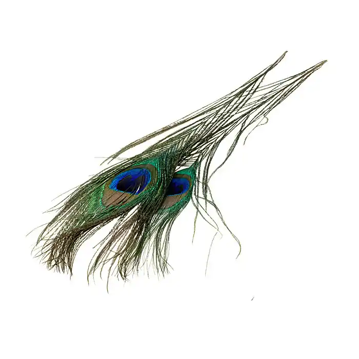 FFGene Peacocks eyes – Two pieces Petit Prix