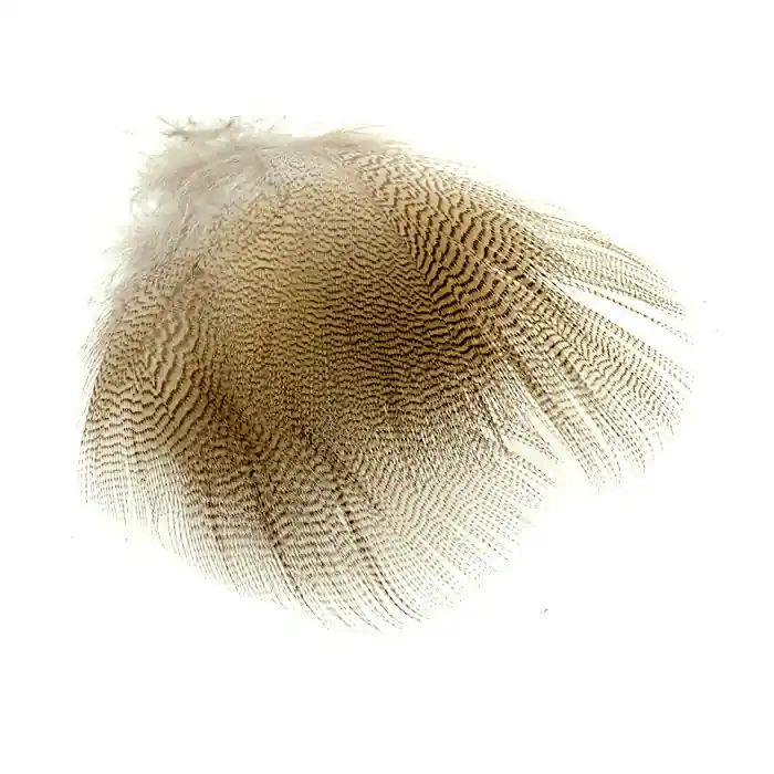 Woodduck Plumage Marque