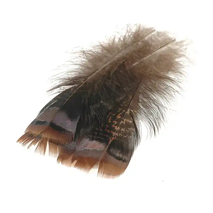 Offre Limitée Wapsi Ozark Iridescent Turkey Tail