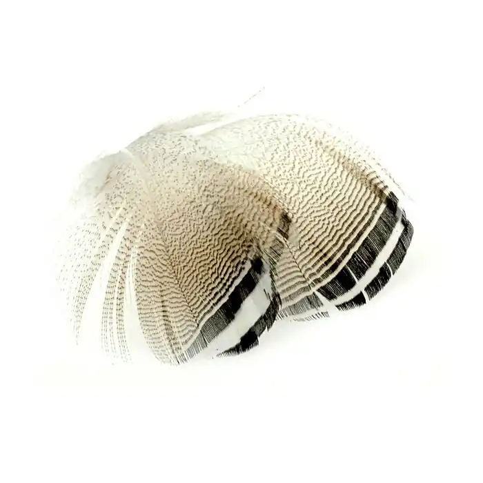 Offre Spéciale Wapsi Black and White Wood Duck