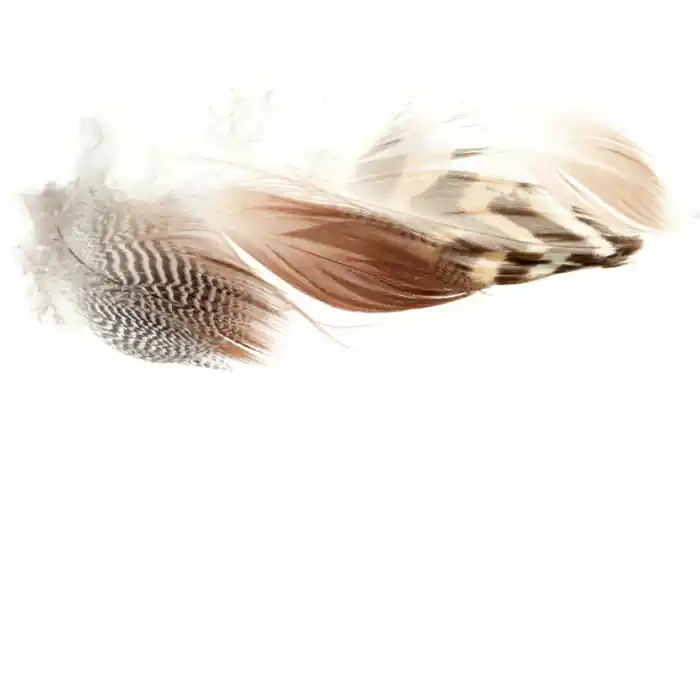 Wapsi Prime Mixed Waterfowl Flank Natural Super Prix