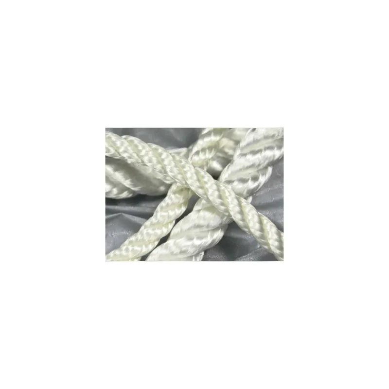 Vente Directe Polyester bolt rope – polymerized stranded – 8 mm