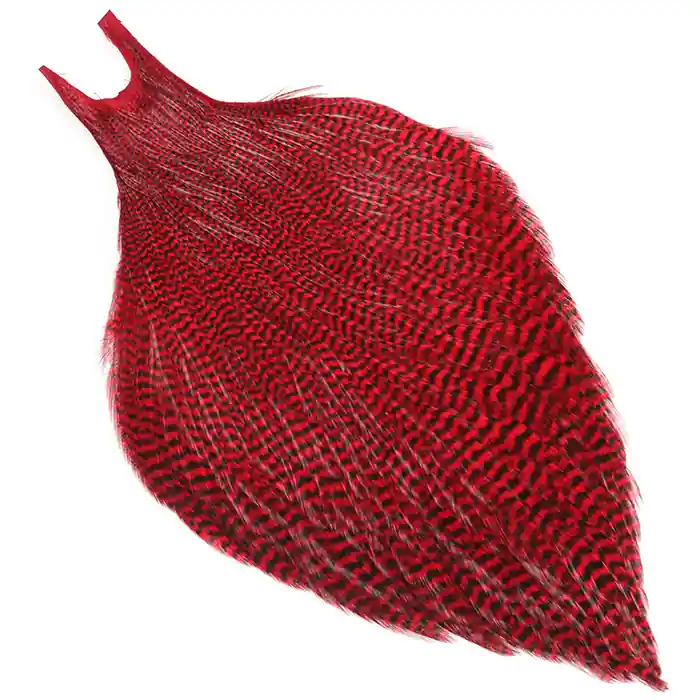 Livraison Express Wapsi Metz Magnum Necks