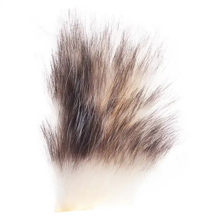 Vente Directe Wapsi Opossum