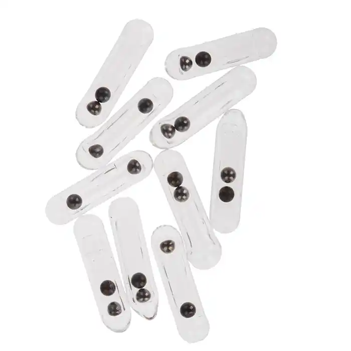 Meilleur Prix Wapsi Pyrex Fly Rattles