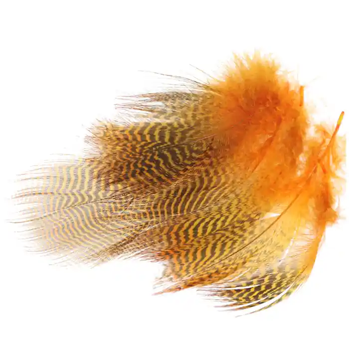 Wapsi Teal Barred Flank Commande En Gros