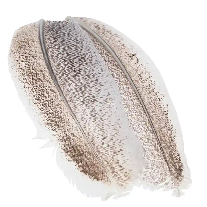 Wapsi Turkey Wing Quill Mottled Quantité Limitée