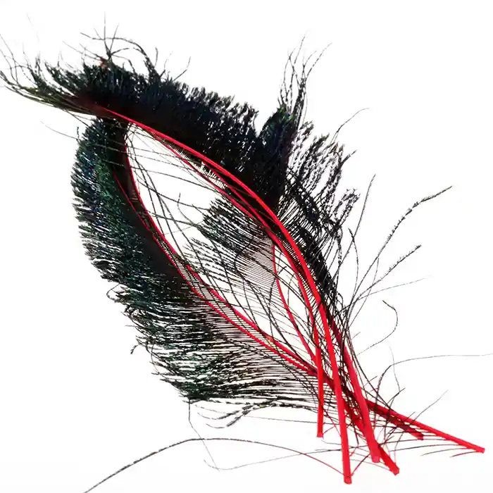 Wapsi Peacock Swords Livraison Express