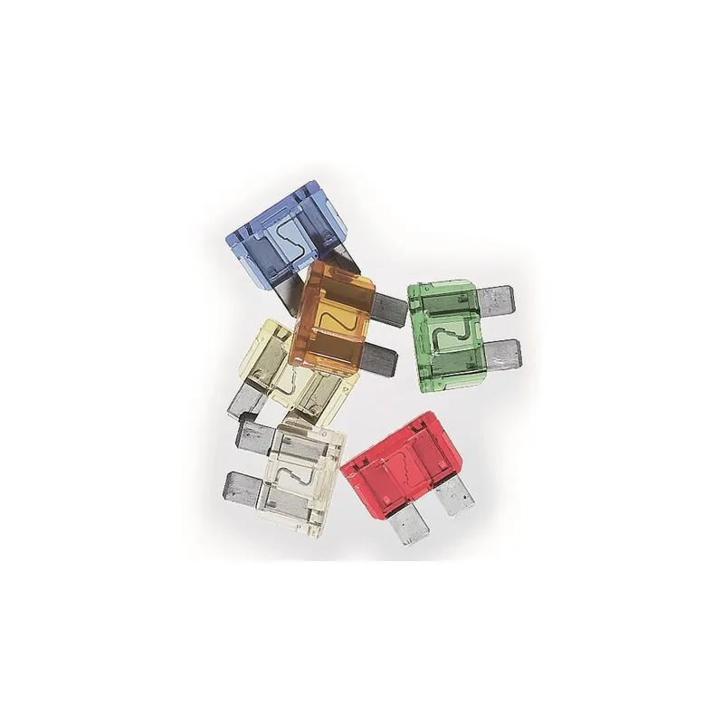 20 A tongue fuses Promotion Saisonnière