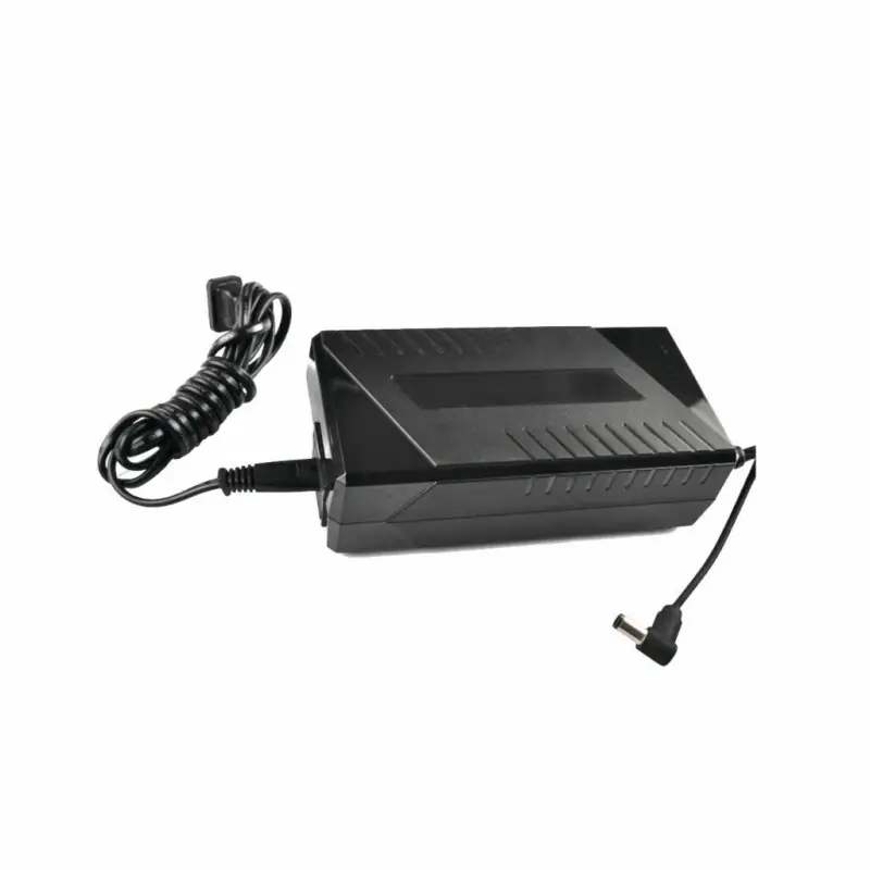 Meilleur Prix Chargeur 220v pour moteur HASWING ULTIMA
