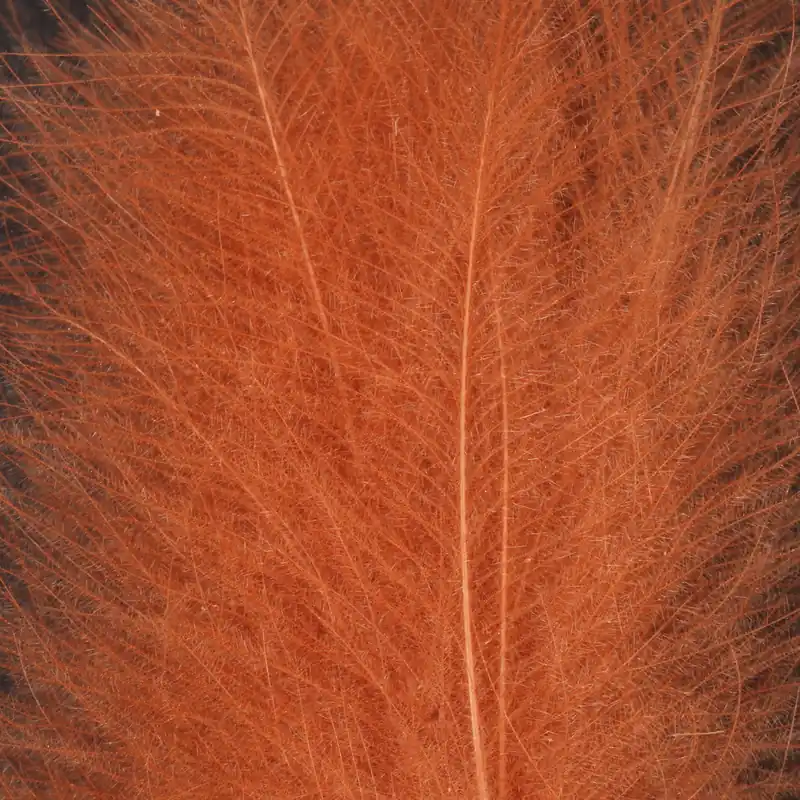 Expédition Rapide Wapsi CDC Super Select