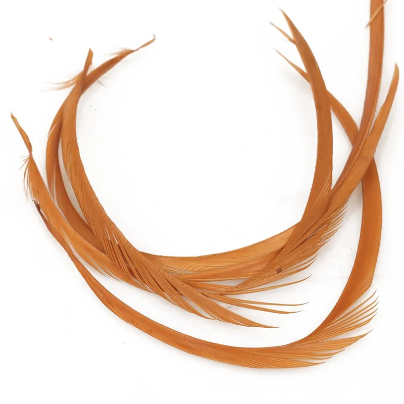 Acheter Direct Wapsi Goose Biots