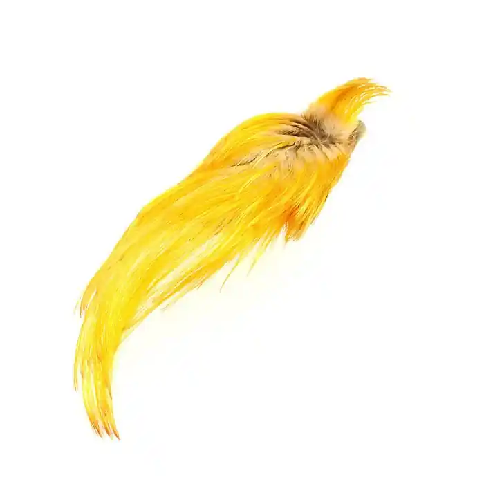 Satisfait Ou Remboursé Wapsi Golden Pheasant Crest Only Natural