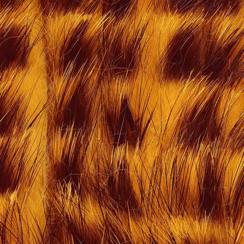 Wapsi Barred Rabbit Zonkers Marque