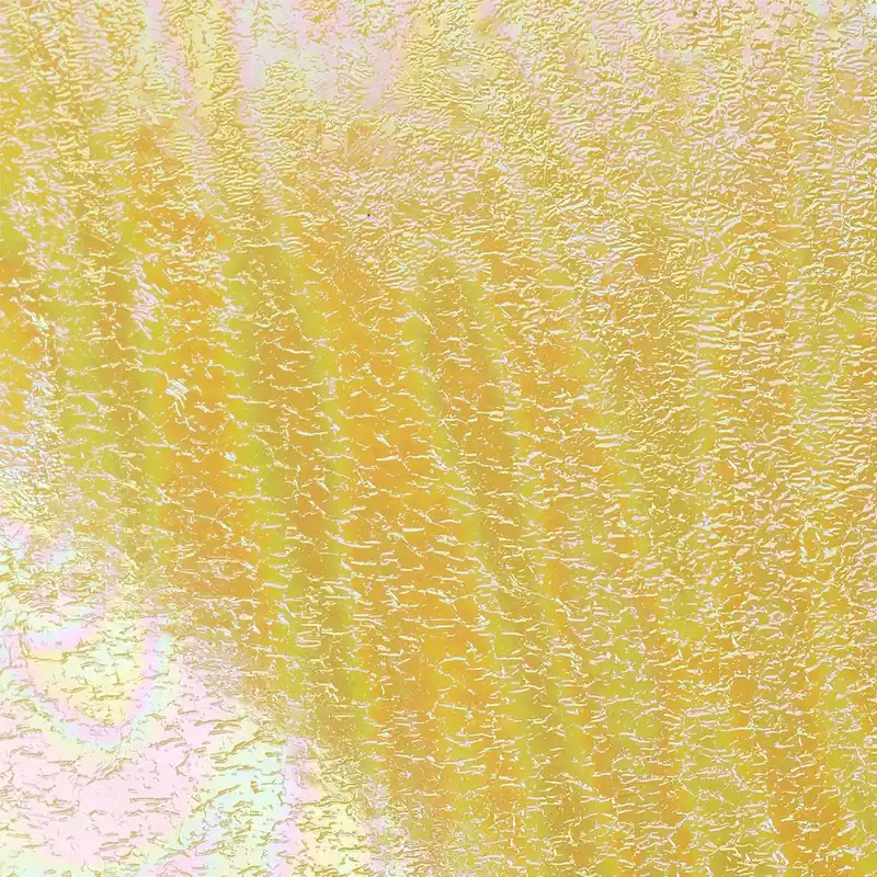 Wapsi Loco Foam Offre Limitée