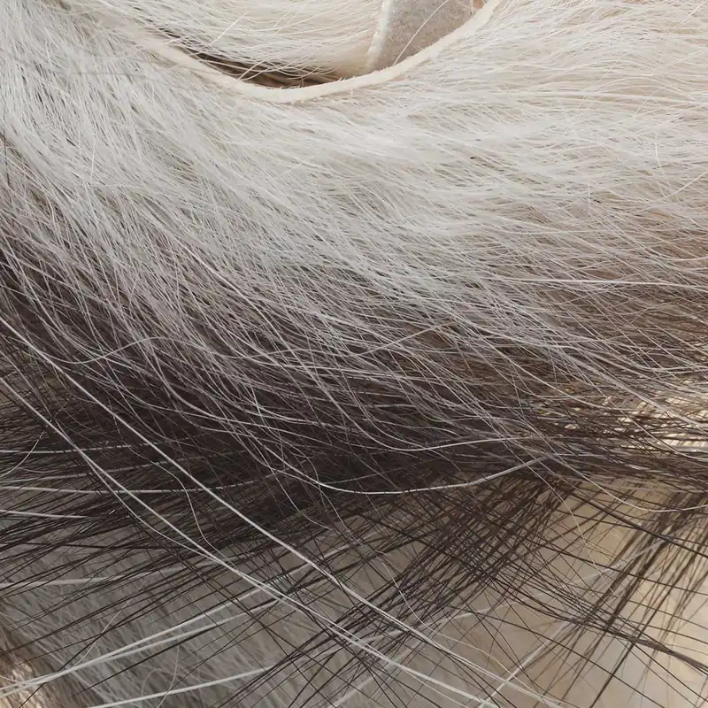 Wapsi Awesome Possum Zonkers Jusqu’à Épuisement Des Stocks