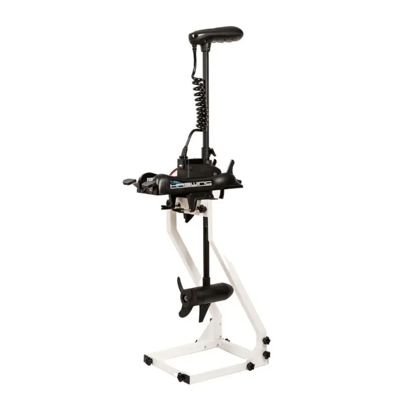 Moteur electrique cayman b 80 lbs noir 24v – 149cm – haswing Offre Exclusive