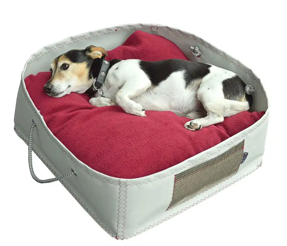 Offre Limitée Panier pour chien