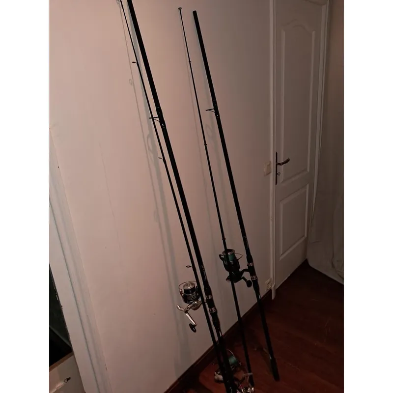 Ensemble Canne carpe Livraison Express