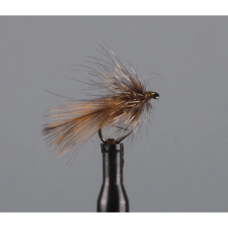 Retour Gratuit sedge becasse