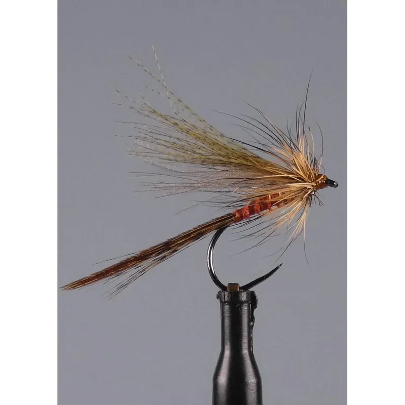 Prix Promo L&rsquo;Ecdyo h12