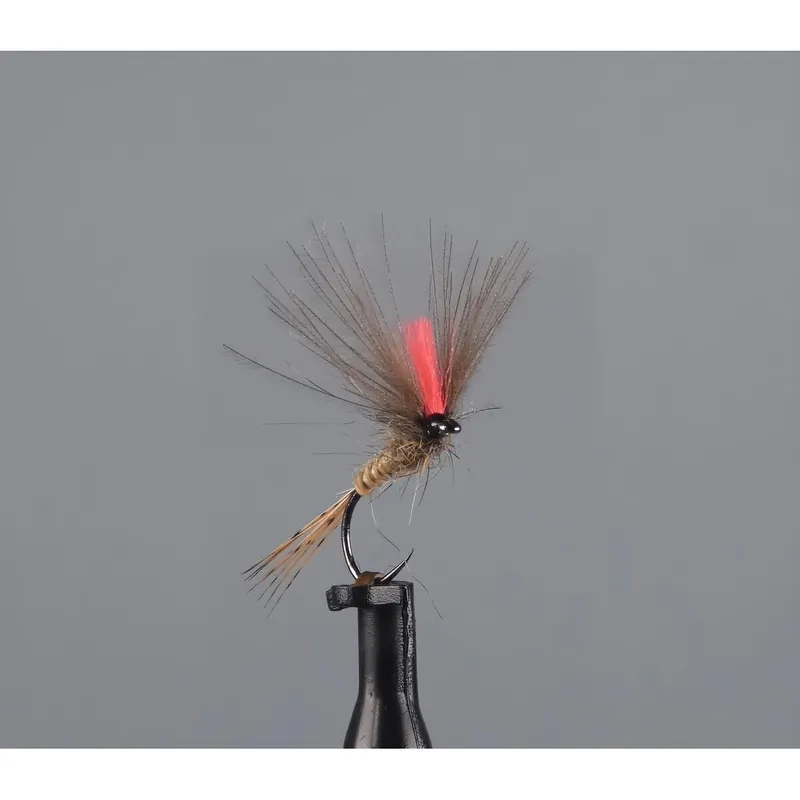 Grise corps jaune ailes séparées Quantité Limitée