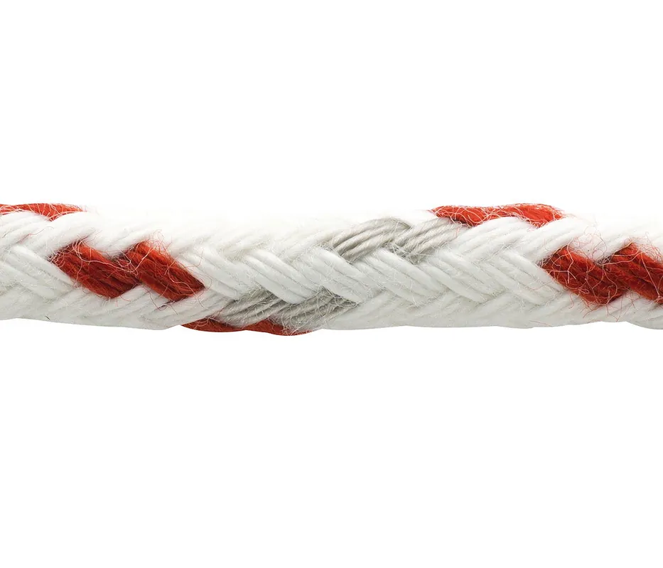 Neptun 500 Affaire À Saisir